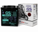 gs astra gtz8v